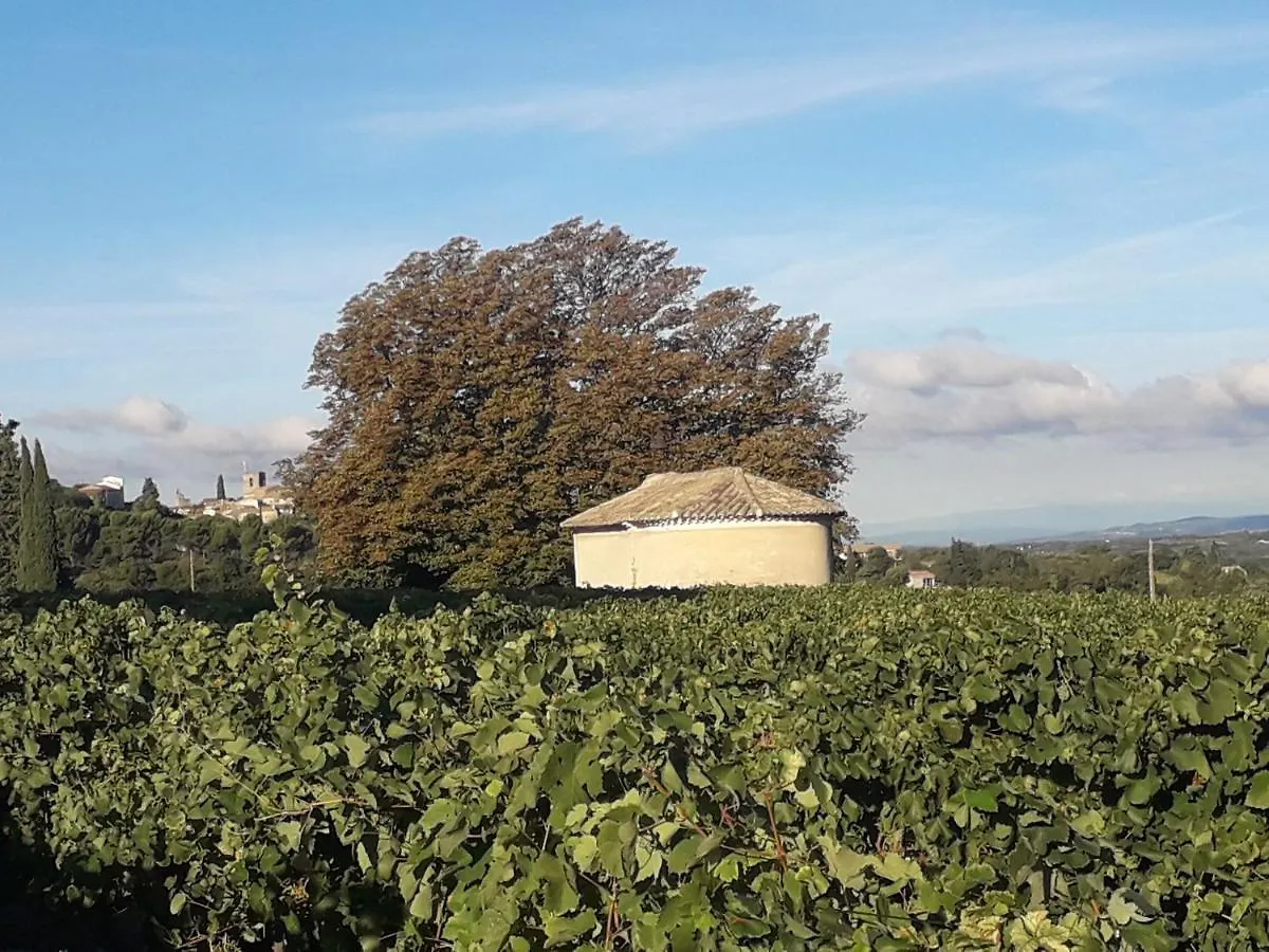 Holiday home Gite En Provence Au Coeur Des Vignes Villedieu