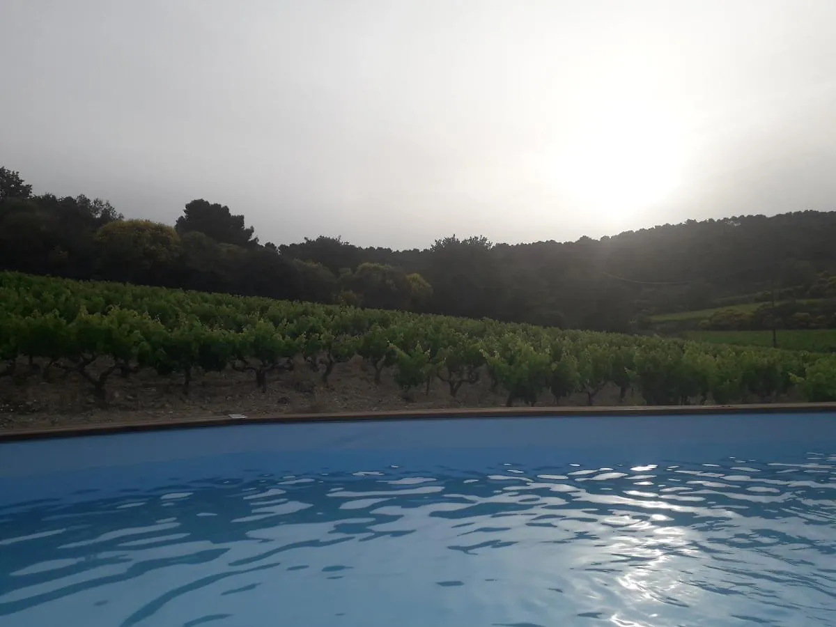 Gite En Provence Au Coeur Des Vignes Villedieu