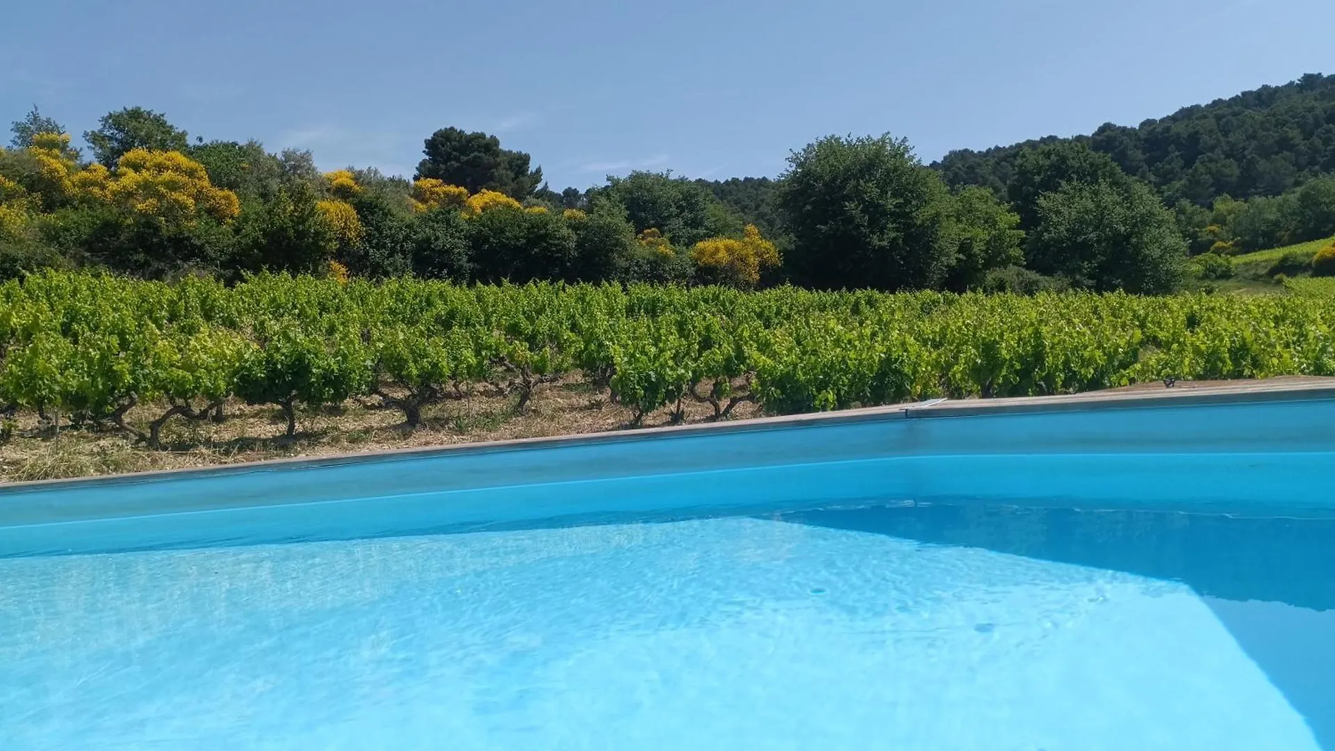 Gite En Provence Au Coeur Des Vignes Villedieu  0*, Villedieu (Vaucluse) France