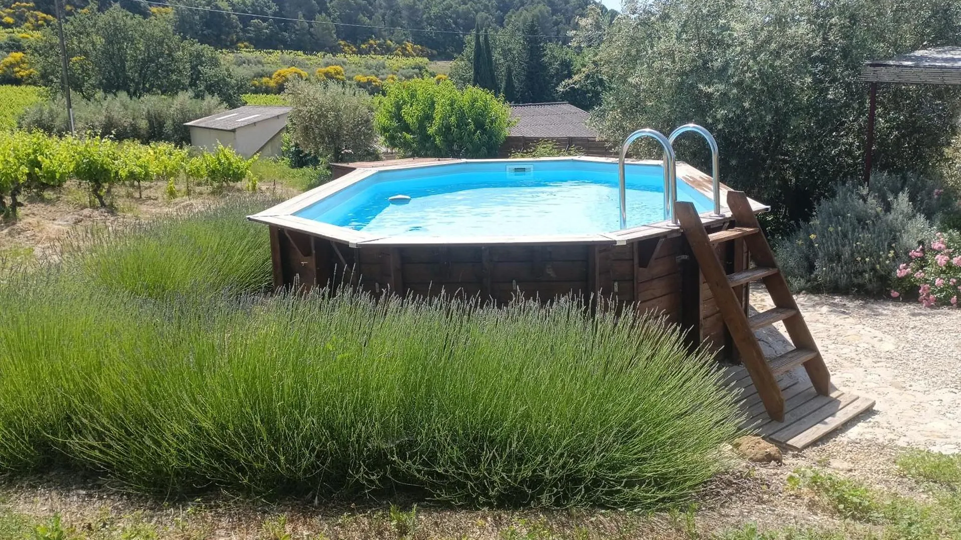 Gite En Provence Au Coeur Des Vignes Villedieu  Villedieu (Vaucluse)